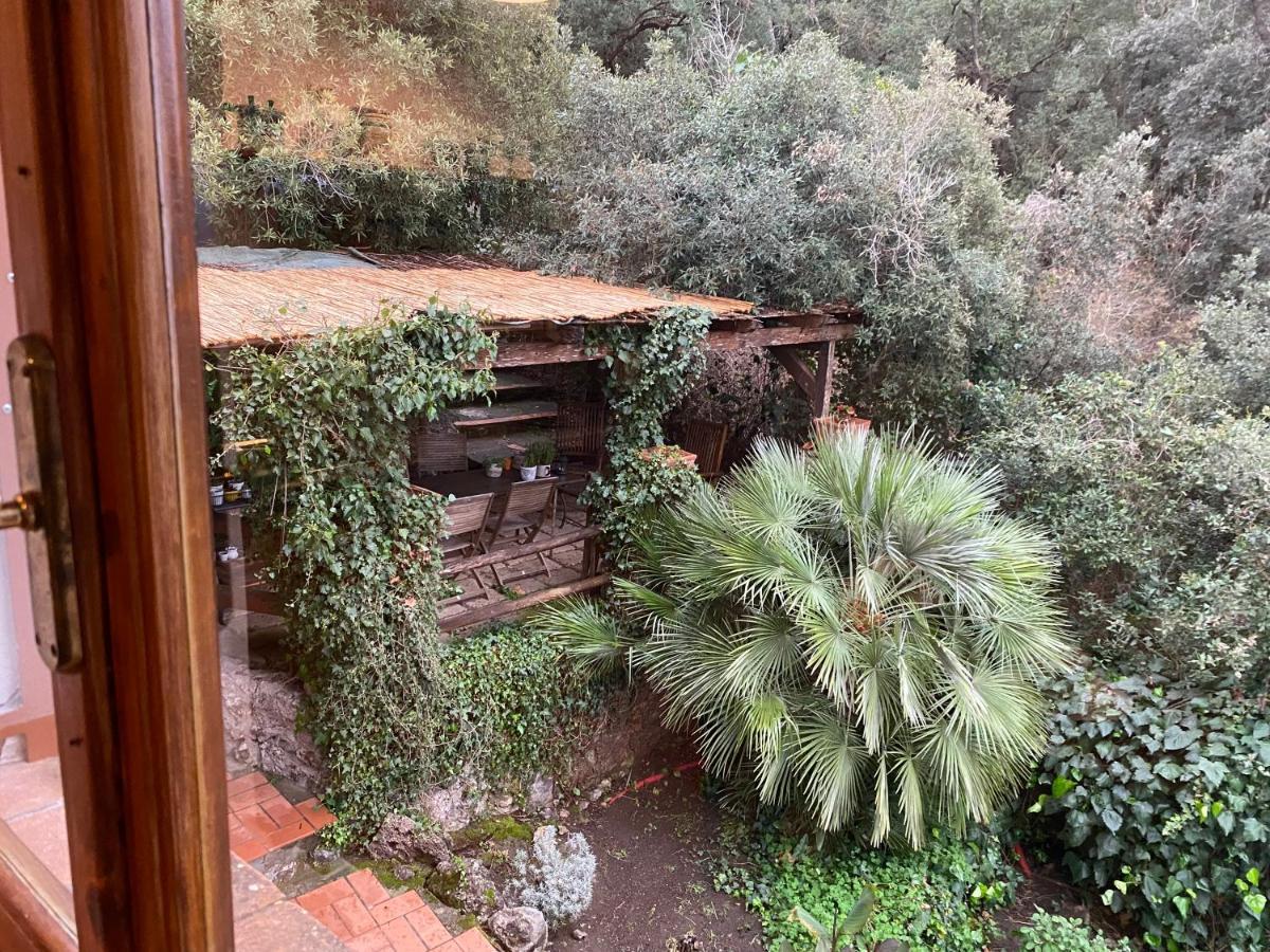 אורבטלו Villa Paradisino מראה חיצוני תמונה