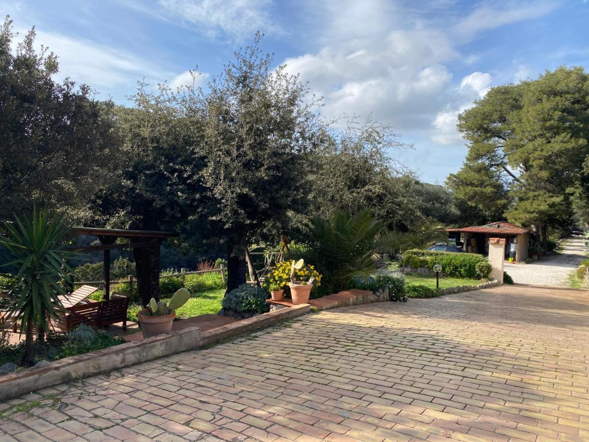 אורבטלו Villa Paradisino מראה חיצוני תמונה