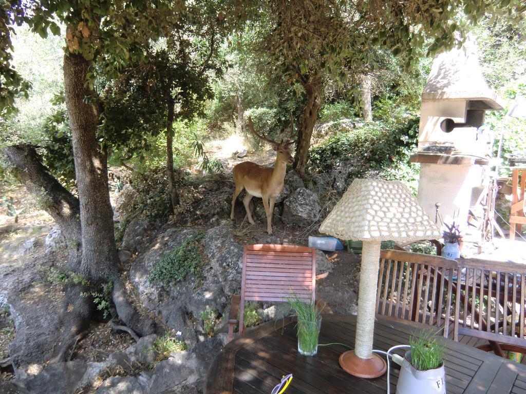 אורבטלו Villa Paradisino חדר תמונה